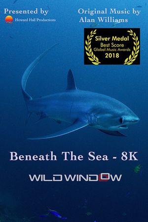 Wild Window: Beneath the Sea's poster