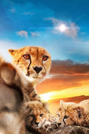 One Life's poster