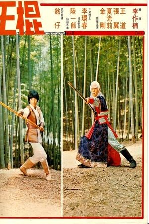 Shaolin Invincible Sticks's poster