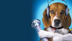 Cats & Dogs's poster