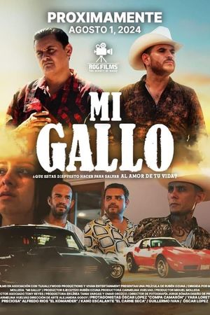 Mi gallo's poster