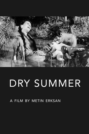 Dry Summer's poster