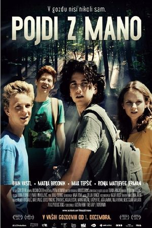 Come Along's poster