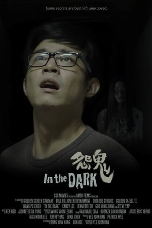 In the Dark's poster
