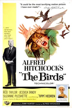 The Birds's poster