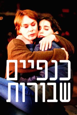 Broken Wings's poster