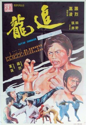Fist of Dragon's poster