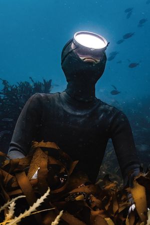 Daughter of the Sea's poster