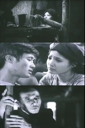 Chi Dau's poster