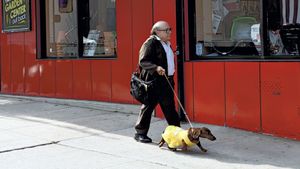Wiener-Dog's poster