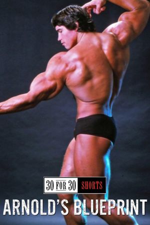 Arnold's Blueprint's poster