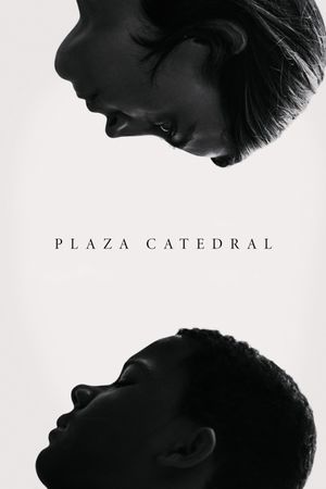 Plaza Catedral's poster