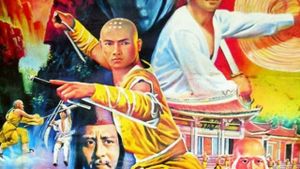 Ninja vs. Shaolin's poster
