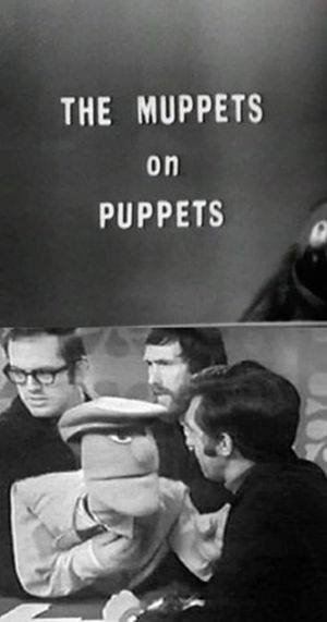 The Muppets on Puppets's poster image