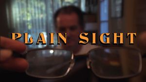 Plain Sight's poster