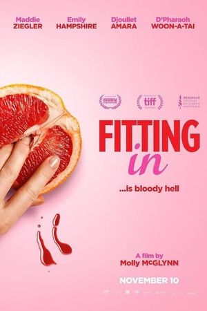 Fitting In's poster