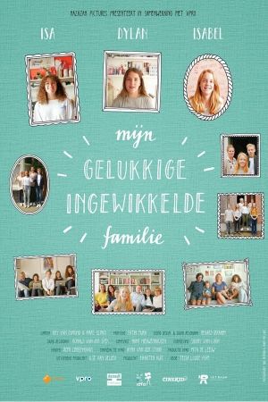 My Happy Complicated Family's poster