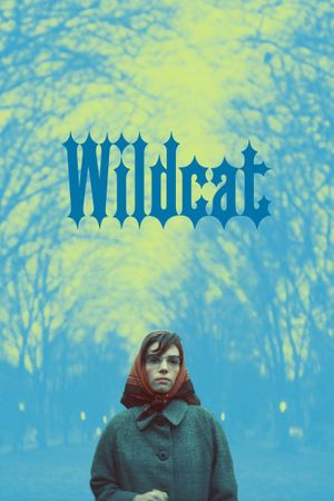 Wildcat's poster