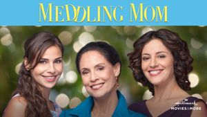 Meddling Mom's poster