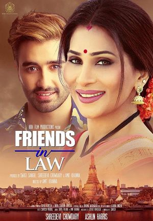 Friends in Law's poster image