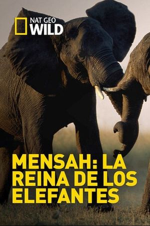 Elephant Queen's poster