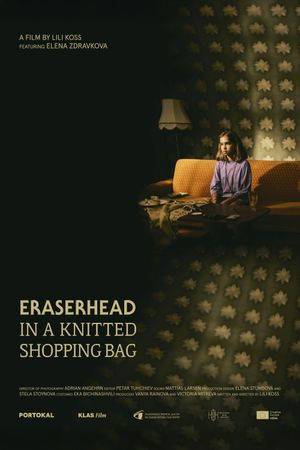 Eraserhead in a knitted shopping bag's poster