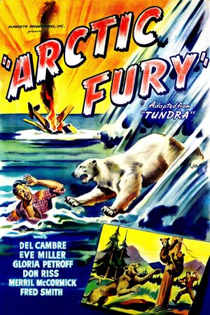 Arctic Fury's poster