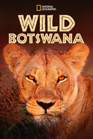 Wild Botswana's poster