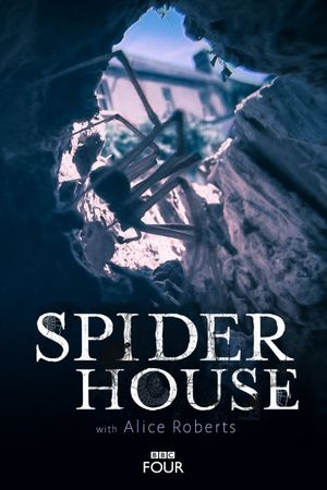 Spider House's poster