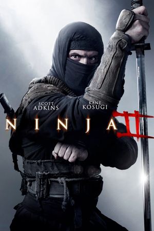 Ninja: Shadow of a Tear's poster