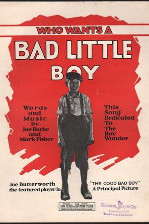 The Good Bad Boy's poster