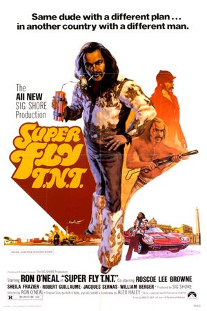Super Fly T.N.T.'s poster