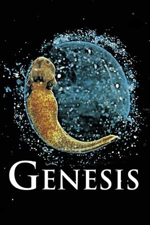 Genesis's poster