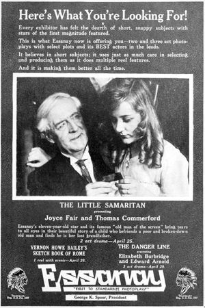 The Little Samaritan's poster