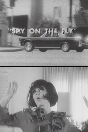 Spy on the Fly's poster