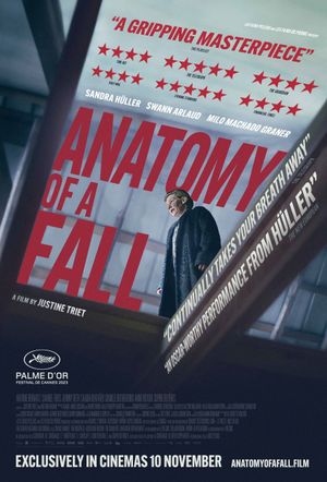 Anatomy of a Fall's poster