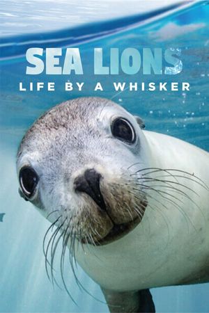 Sea Lions: Life By a Whisker's poster
