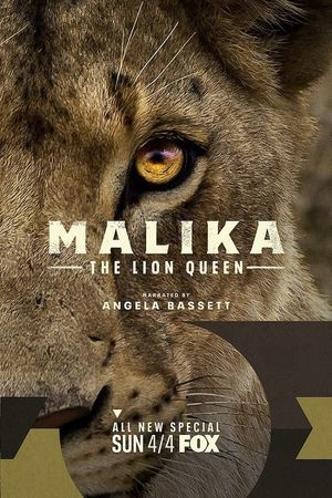 Malika the Lion Queen's poster