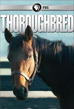 Thoroughbred's poster