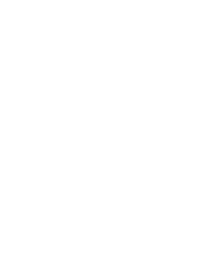 King of Boys's poster