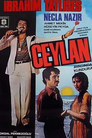 Ceylan's poster