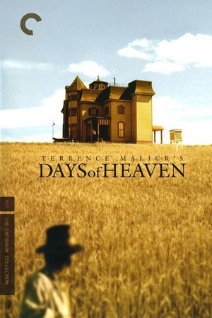 Days of Heaven's poster