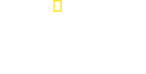 Becoming Cousteau's poster