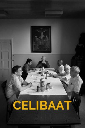 Celibaat's poster image