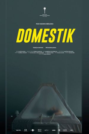 Domestique's poster