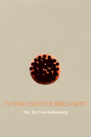 Flying Over The Bird's Nest's poster