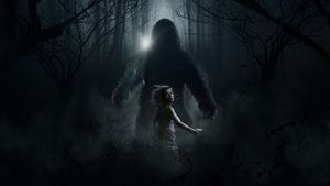 Hoax's poster