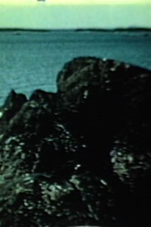 The Sea's poster