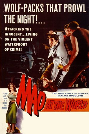 Mad at the World's poster