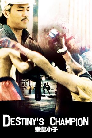 Old Man and the Kid's poster
